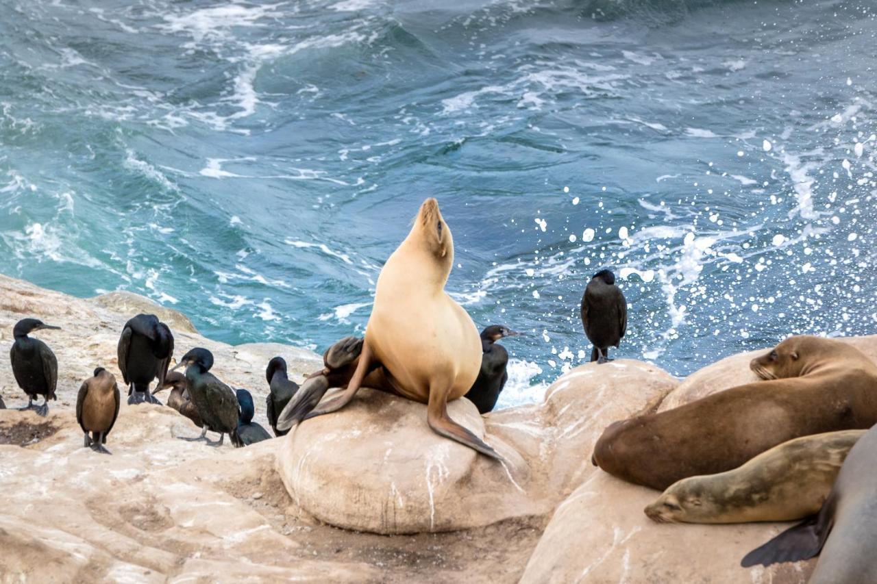 La Jolla Cove Suites San Diego Dış mekan fotoğraf
